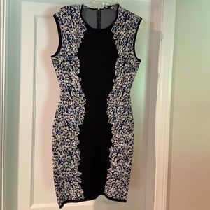 BCBG beautiful sheath dress